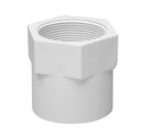 32mm PVC Pressure Female BSP Faucet Socket CAT 18 - Specialised Pipe & Water Solutions