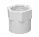 15mm PVC Pressure Female BSP Faucet Socket CAT 18 - Specialised Pipe & Water Solutions